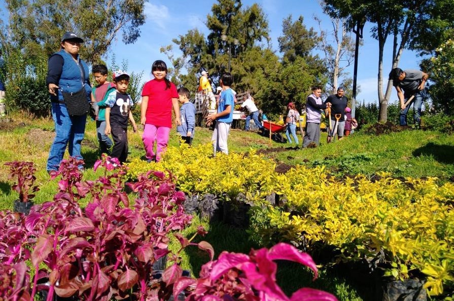 Implementa gobierno de la CDMX Programa Especial de Infraestructura Verde