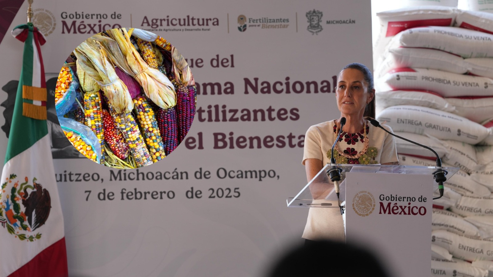 Anuncia la Presidenta Claudia Sheinbaum el inicio del programa "Cosechando Soberanía" en Michoacán