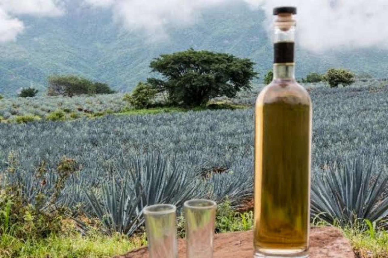 Tradición, sabor y cultura
