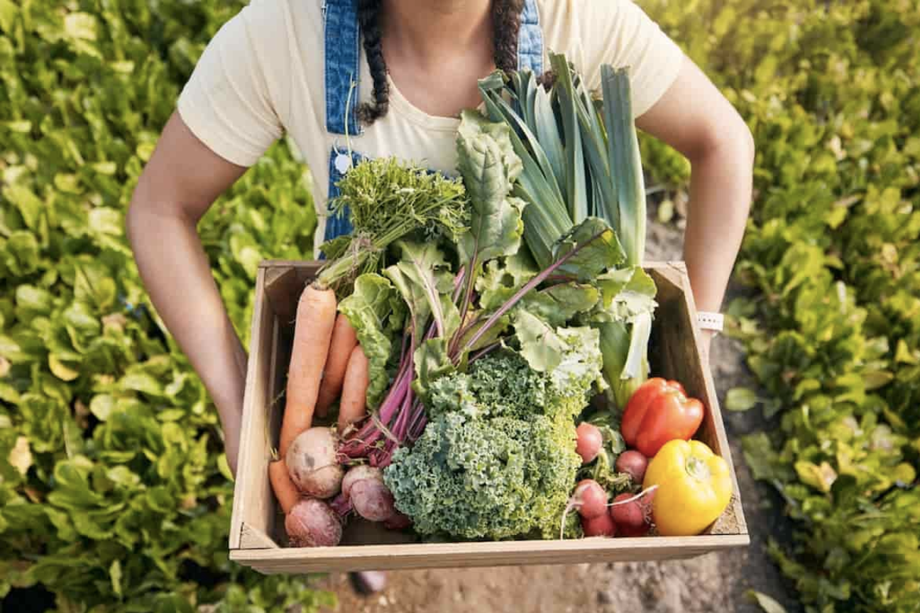 Nutriendo el cambio: México y su compromiso con la Alimentación Sostenible