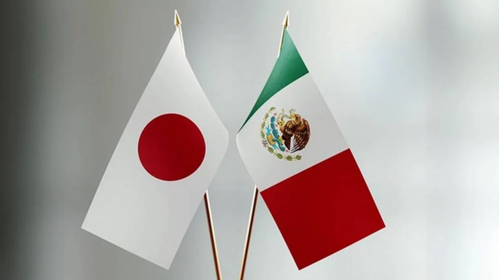 Repatrían a dos mexicanos desde Japón para cumplir sentencia en penal de Guanajuato