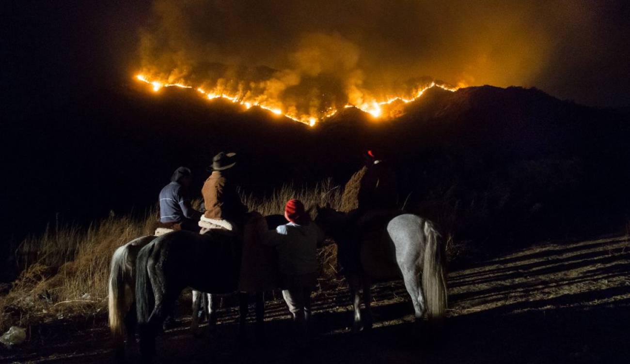 Consumen incendios 12,000 hectáreas de la Patagonia argentina; acusan a Milei de recortar presupuesto y a extranjeros de iniciar el fuego