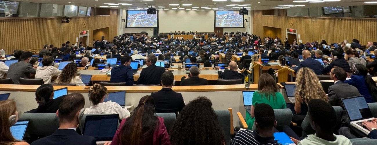 Celebra la adopción de la Convención contra el Ciberdelito en la ONU