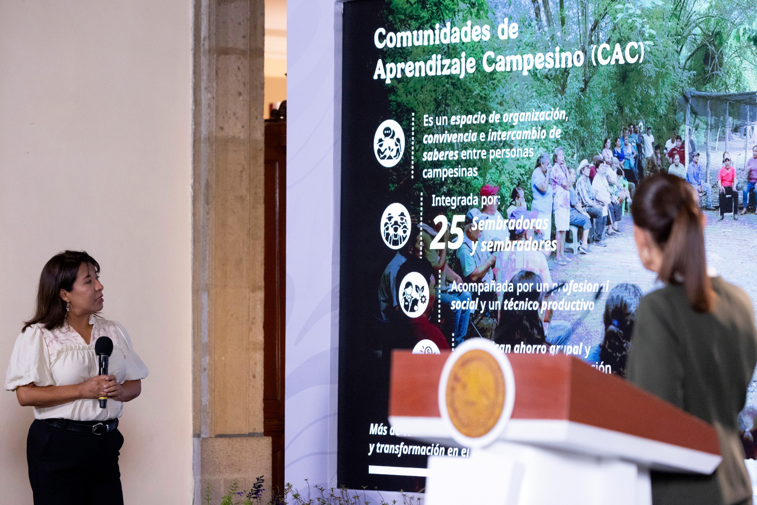 Con Sembrando Vida se han plantado más de mil millones de árboles