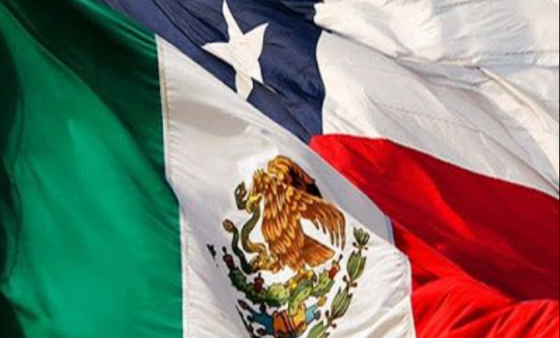 México y Chile remitieron a la Corte Penal Internacional la situación de violencia en Palestina