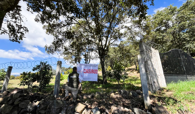 Clausura Profepa predio por tala y cultivo ilícitos en zona de Mariposas Monarca