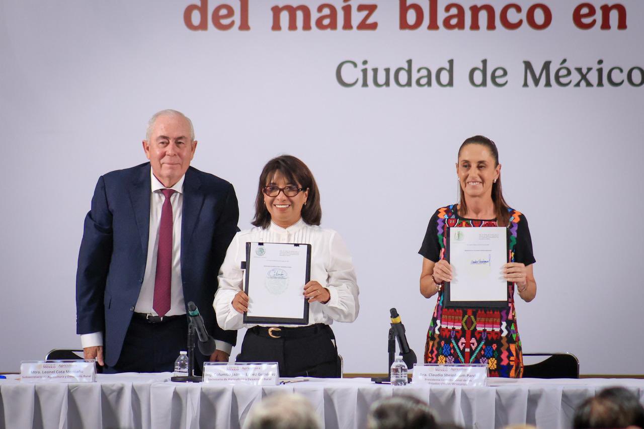 Firma Claudia Sheinbaum acuerdo para crear el Sistema de Ordenamiento para el maíz blanco; beneficiará a toda la cadena productiva del maíz