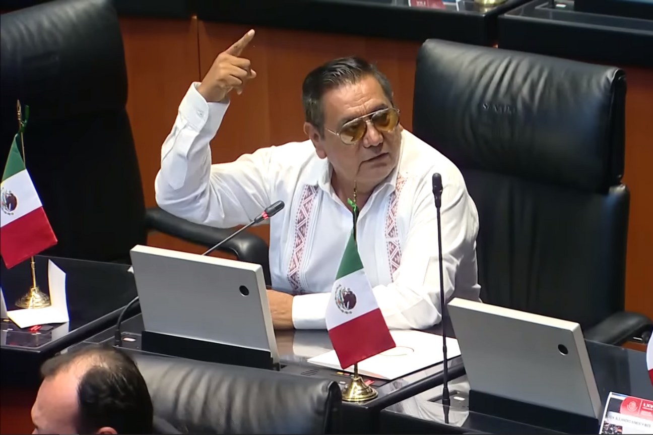 ¿A quién representan? Cuestiona senador Félix Salgado Macedonio a plurinominales