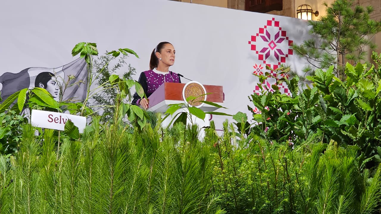 Sembrarán más de 6 millones de árboles y plantas en la Jornada Nacional de Reforestación 2026