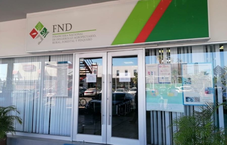 Presenta Gobierno de México las bases para la liquidación de Financiera Nacional de Desarrollo