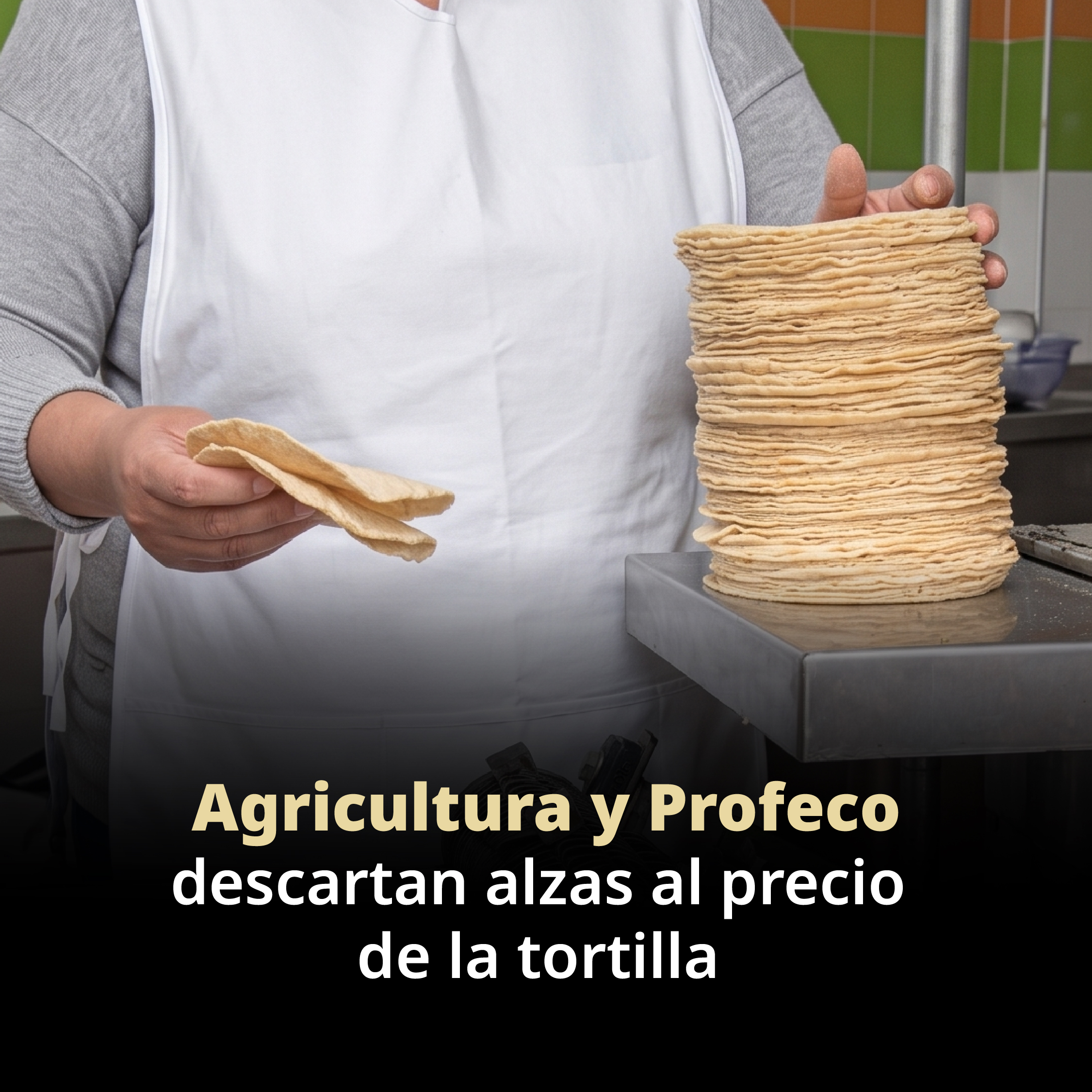 Desmienten PROFECO y AGRICULTURA supuesto aumento al precio de la tortilla