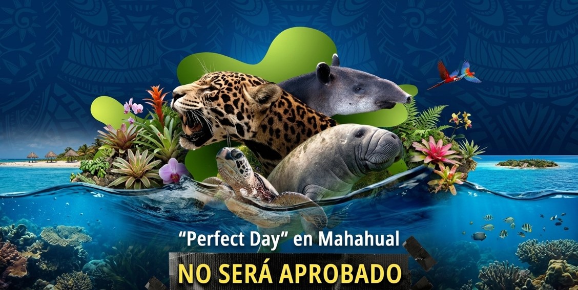 "Perfect Day", en Mahahual, Quintana Roo, no será aprobado, determina conclusión de procedimiento ambiental de SEMARNAT