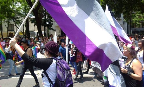 Ordena juez  no considerar la asexualidad como una enfermedad psiquiátrica dentro del sistema de salud