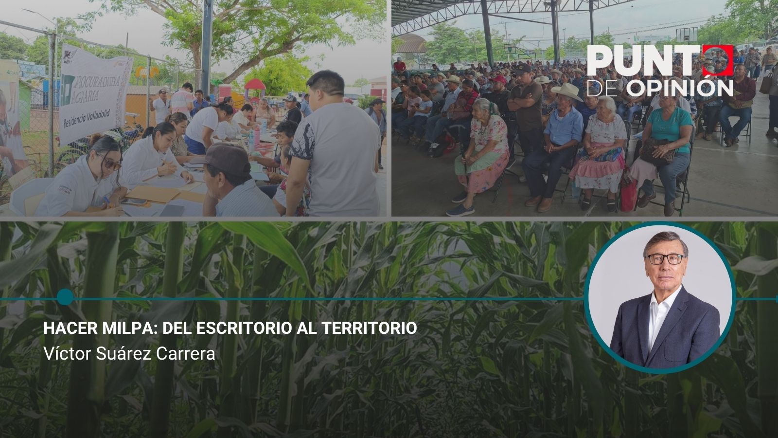 Hacer milpa: del escritorio al territorio
