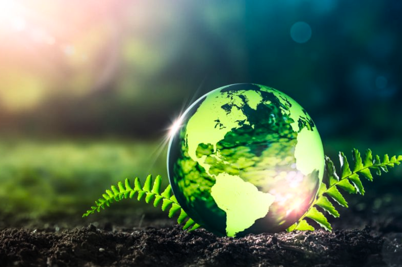Día mundial de la Tierra: un llamado a la acción