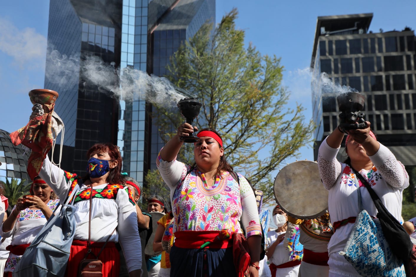 Echa raíces ahuehuete en la glorieta de Reforma