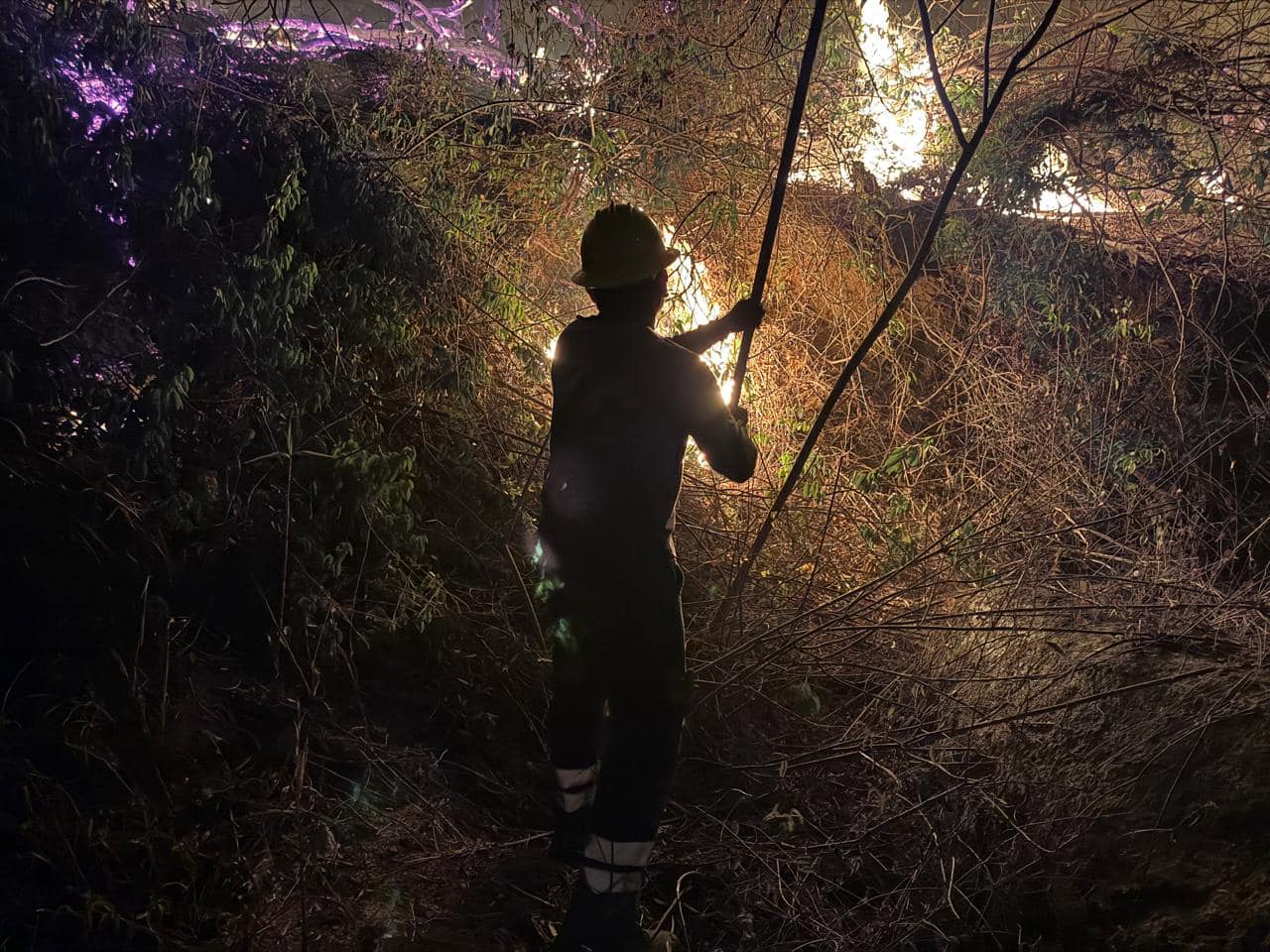 Trabajan brigadistas en Guerrero para sofocar incendios
