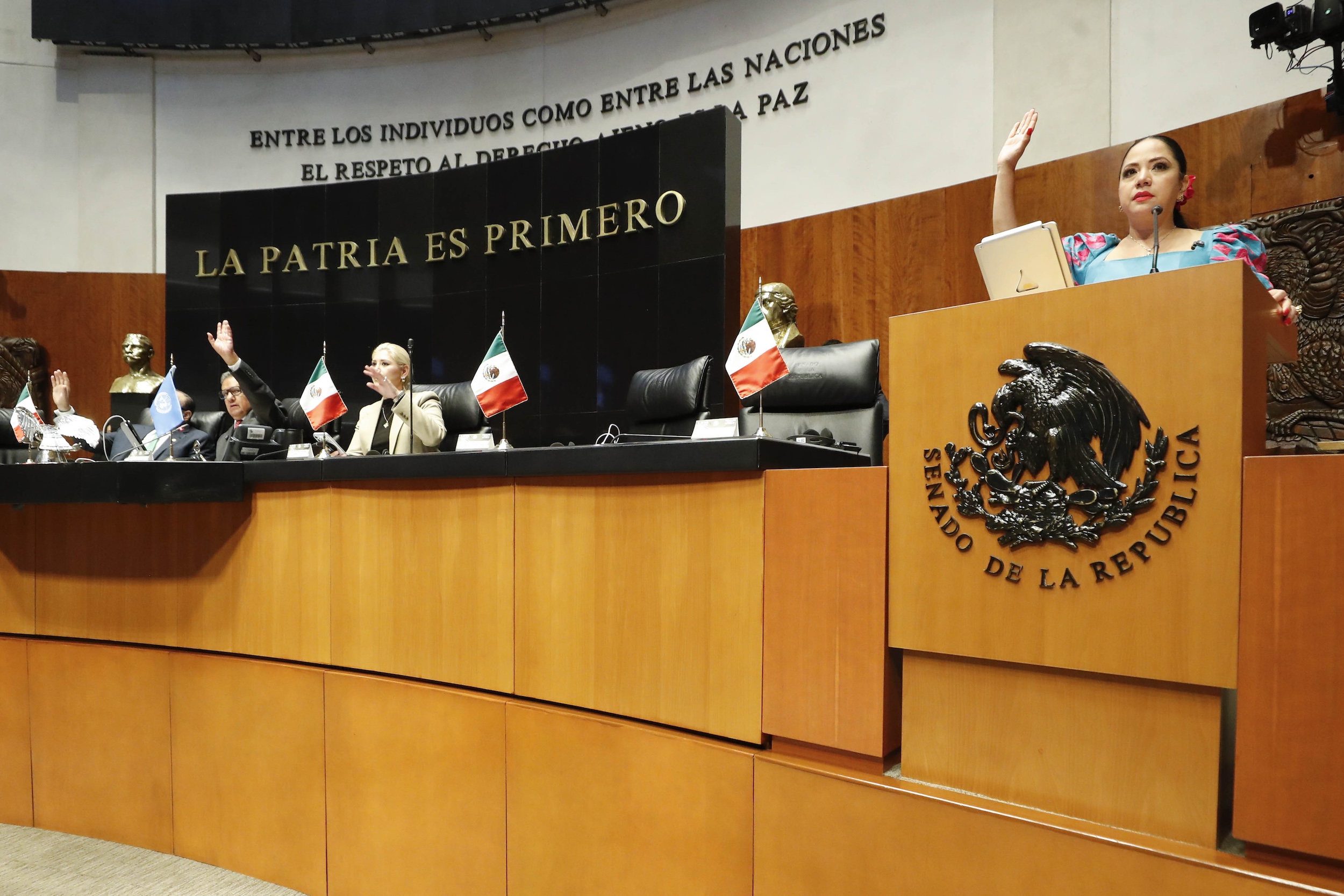 Aprueba Senado nueva Ley General de Bienestar, Cuidado y Protección de los Animales; fue turnada a la Cámara de Diputados