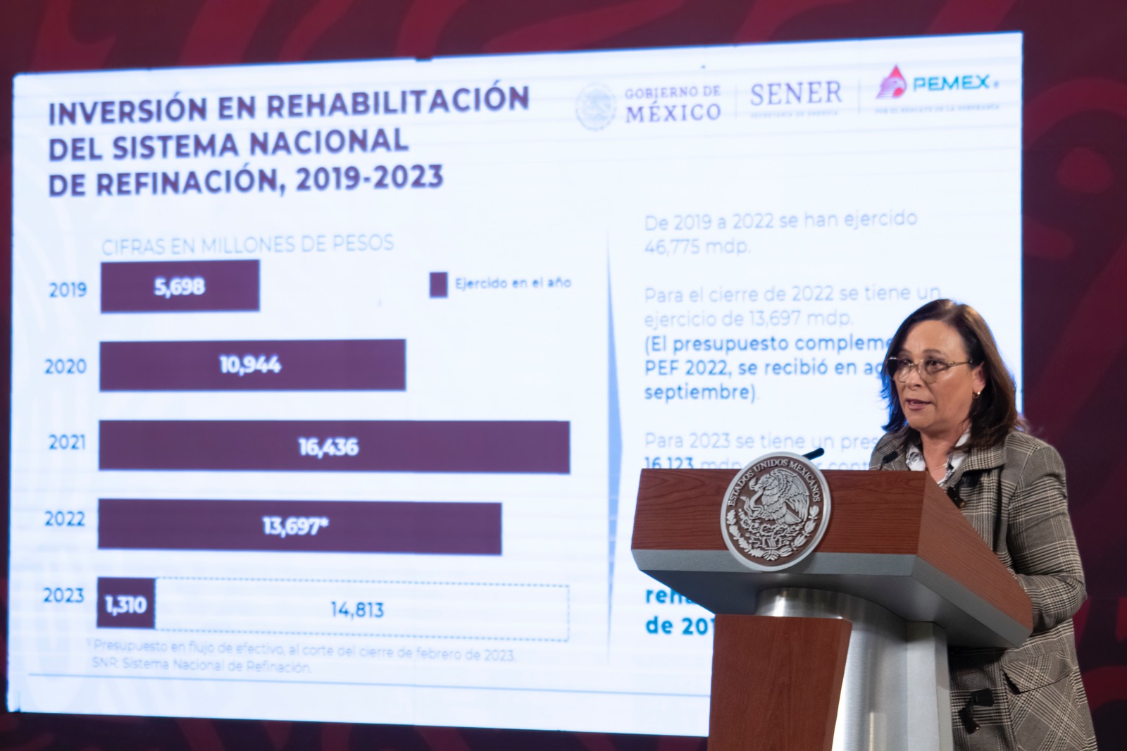 Alcanzar la autosuficiencia energética es una prioridad: Rocío Nahle