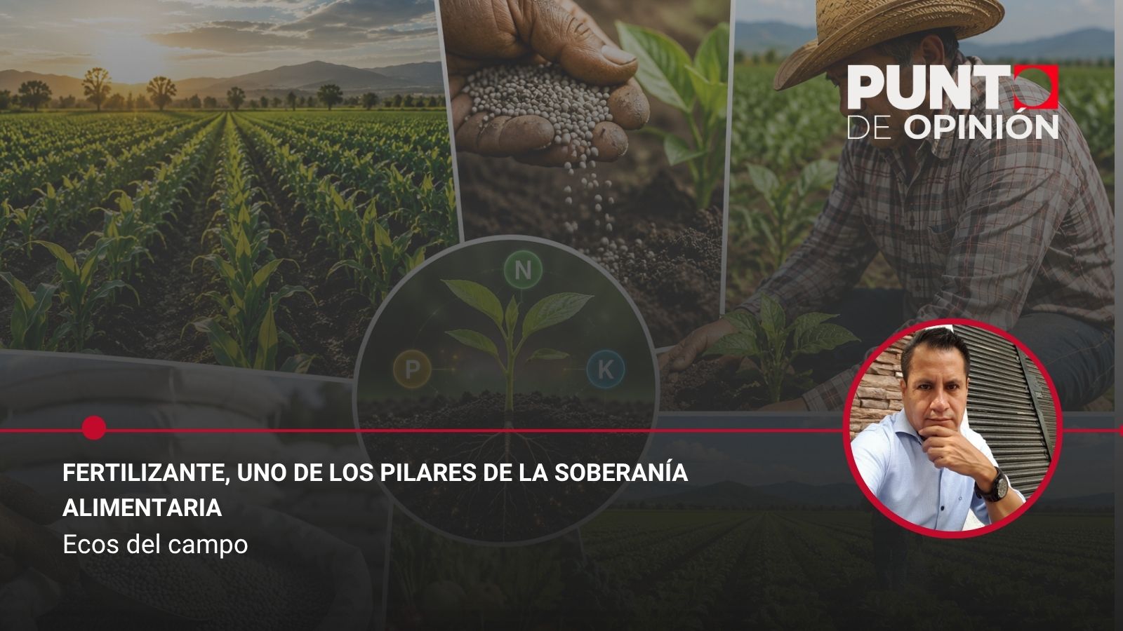 Fertilizante, uno de los pilares de la soberanía alimentaria
