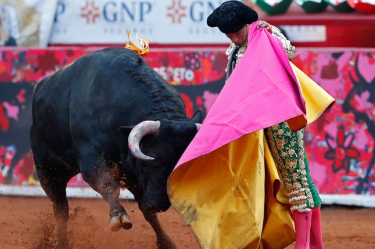 Corridas de toros en México: Ética vs Tradición