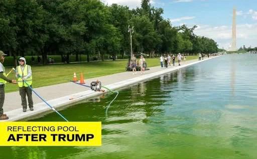 De postal presidencial a meme nacional: el fiasco de los 14 mdd de Trump en Washington