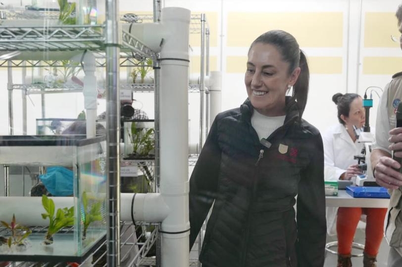 Inauguran Anfibium: Museo del Axolote, en el marco de la celebración por los 100 años del Zoológico de Chapultepec