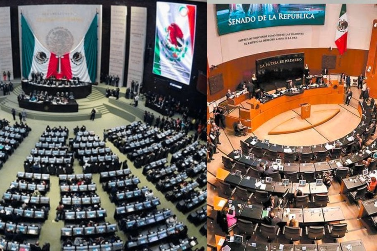 ¿Dónde caerán las coordinaciones de las Cámaras?
