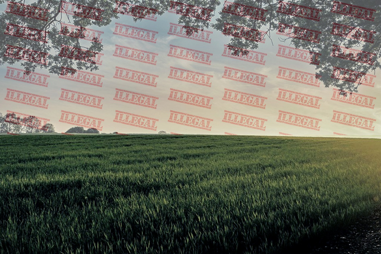 Venta ilegal de terrenos nacionales