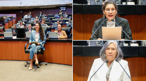 Comparecen las tres aspirantes a ministra de la SCJN ante el pleno del Senado