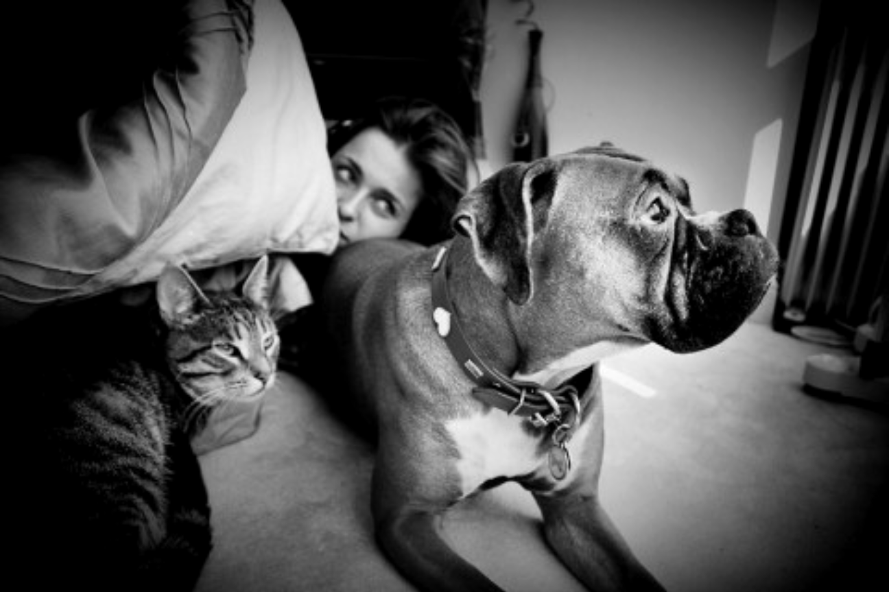 Nuevos vínculos afectivos: perrhijos y gathijos.