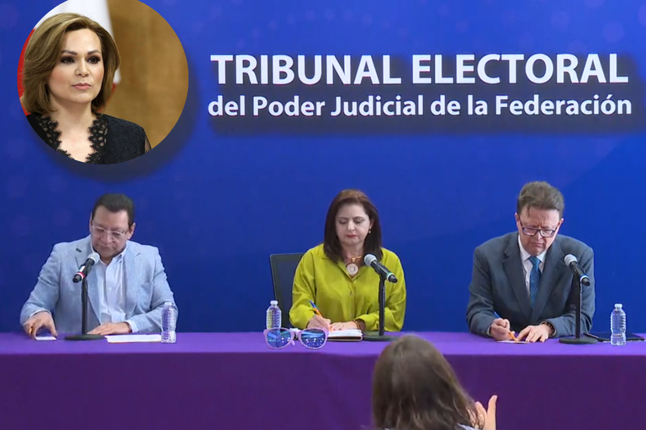 Se priorizó la experiencia para designar a Claudia Valle: TEPJF