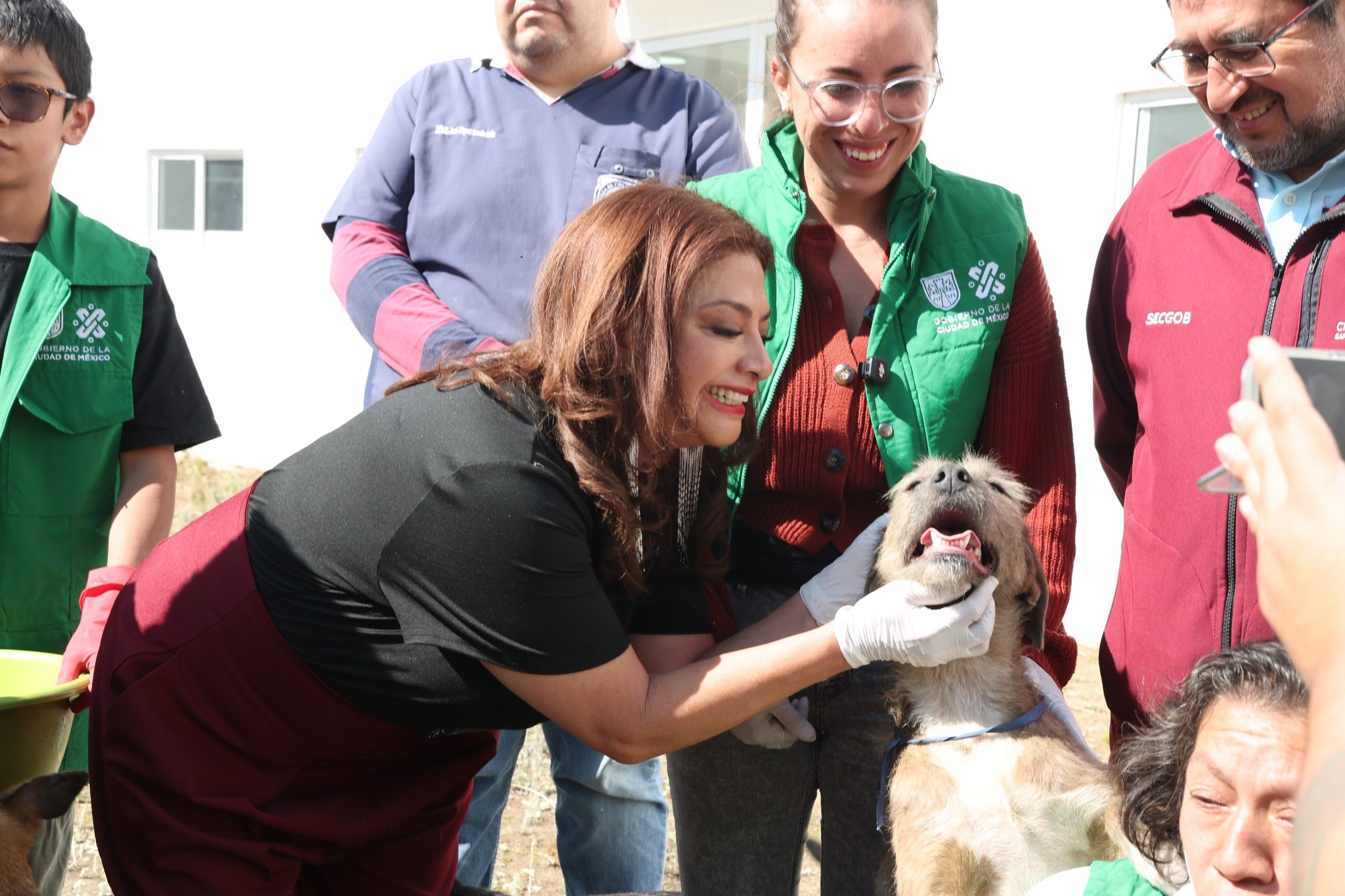Resguarda Gobierno de la CDMX a animales del Refugio Franciscano; Fiscalía no asegurará el predio