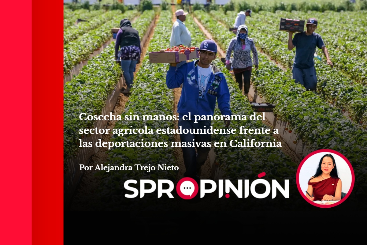 Cosecha sin manos: el panorama del sector agrícola estadounidense frente a las deportaciones masivas en California