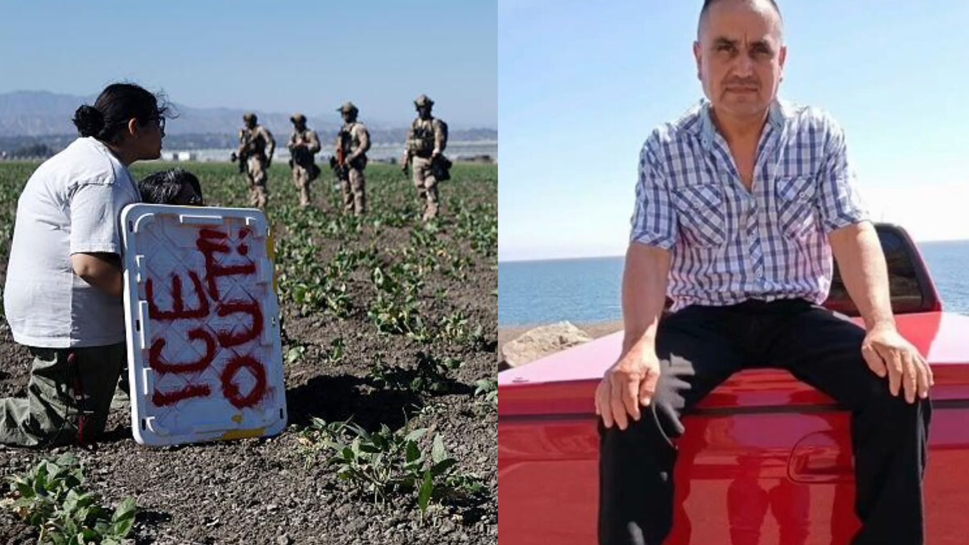 Lamenta SRE muerte de trabajador agrícola mexicano durante redada de ICE en granja de California