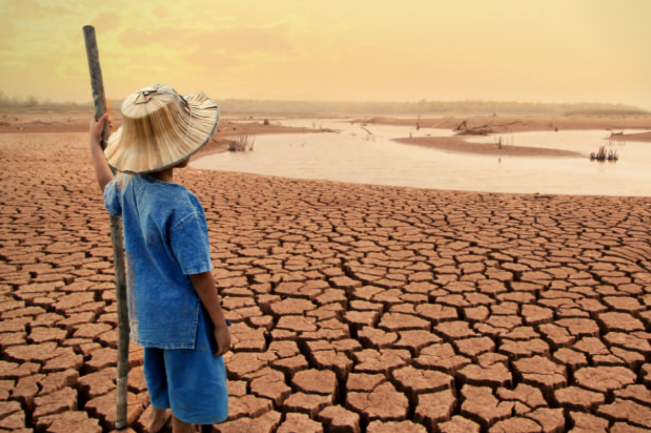 El cambio climático nos alcanzó, 83% de los desastres naturales durante 2020 fueron causados por el calentamiento global